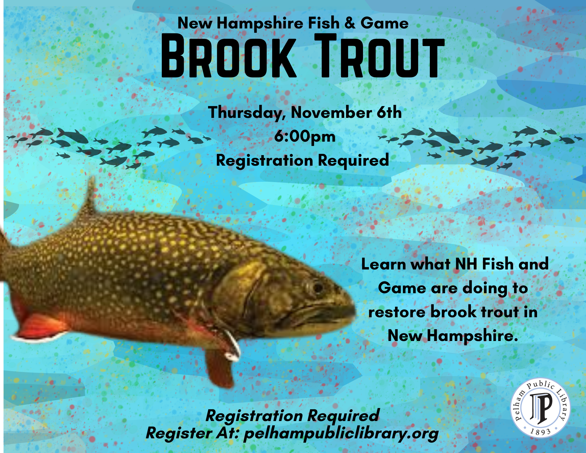 Brook Trout, Thursday Nov 6th 6pm