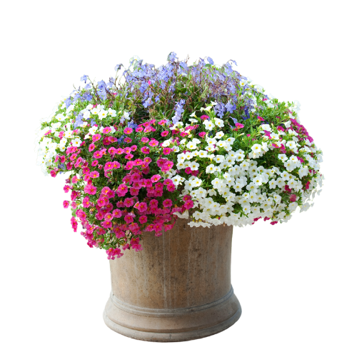 Gardening at the Library | Pelham Public Library