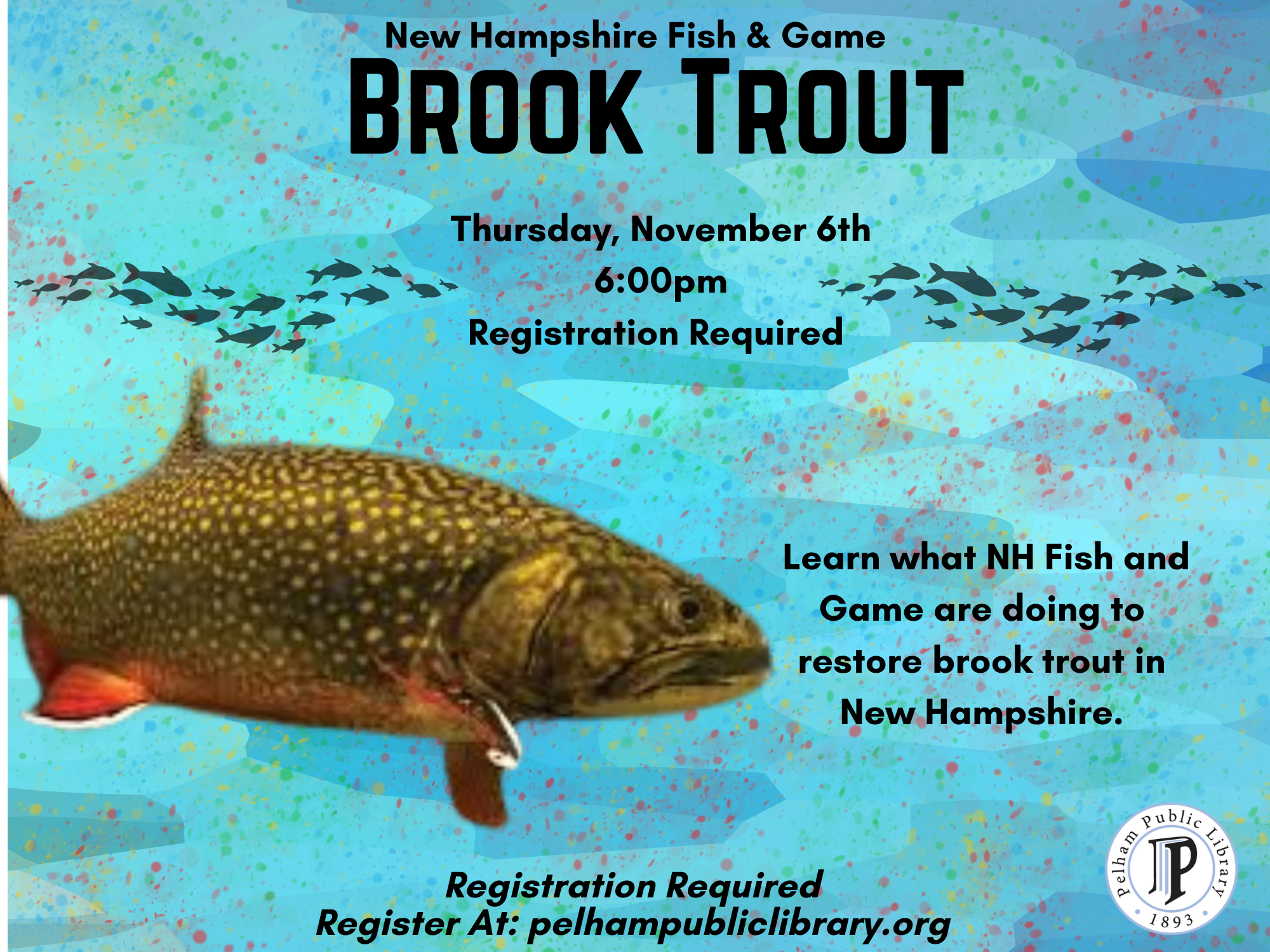 Brook Trout, Thursday Nov 6th 6pm