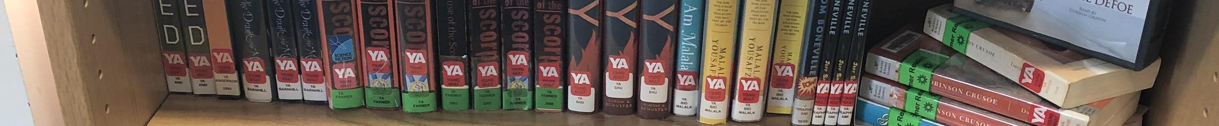 Summer Reading